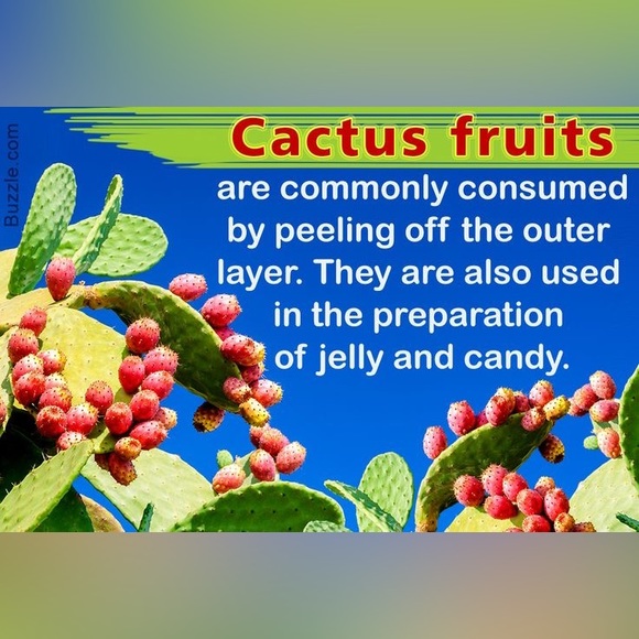 $1 NAIL STICKER SHEET. NEW. $1 WITH ANY $10 ORDER OR MORE - Picture 12 of 14